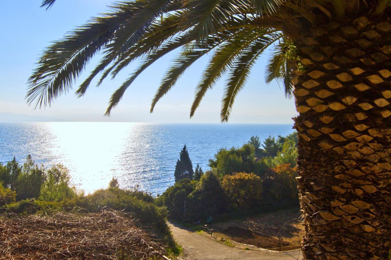 Seaside Secluded Apartments Cove Tvrdni Dolac, Hvar - 4008 Gdinj Dış mekan fotoğraf